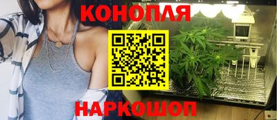 гашик Краснодар